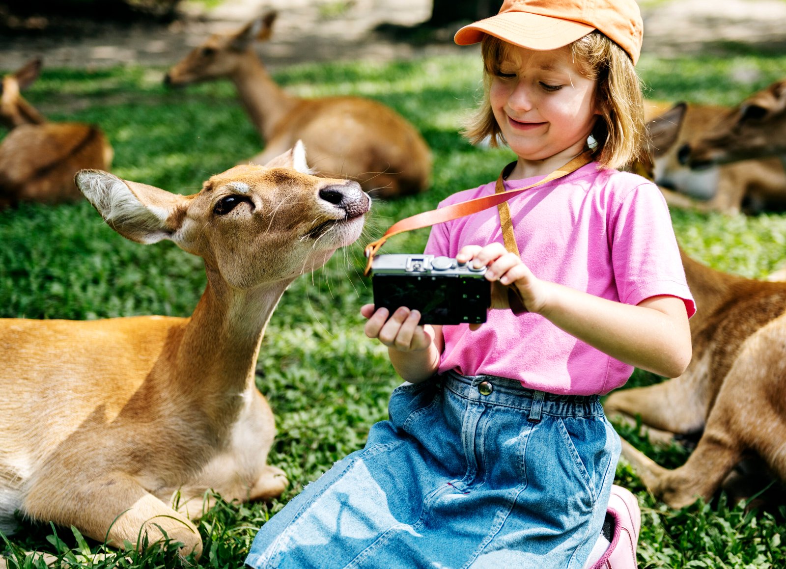 VoiceofConservation.org/