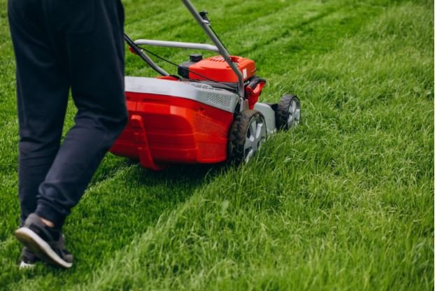 Why Lawn Care Is Essential For A Healthy Yard